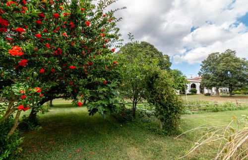 all'ombra del Bagolaro - Photo 16