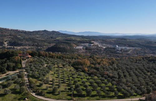 Agriturismo Campo al Crognolo - Foto 42