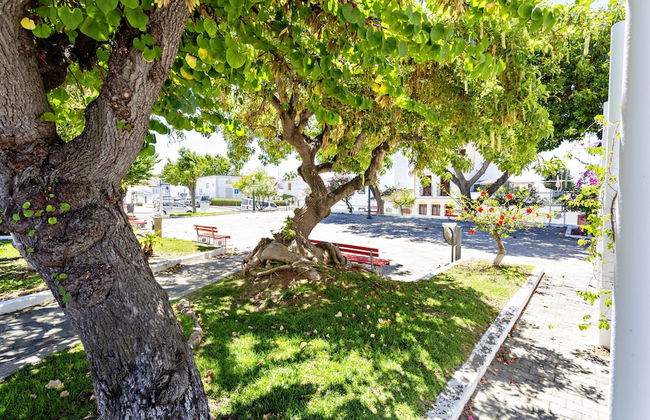 Casa da Tavira in Tavira - Foto 17