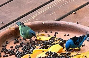 Casa 7 Suítes com Vista para o Mar - Praia Barra do Sahy - Foto 64