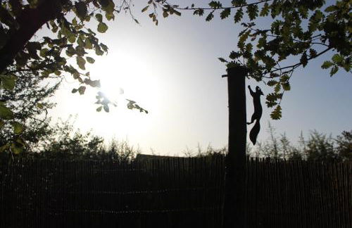 Studio confort, charme & tranquilité "Le Grenier" - Foto 34