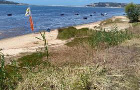 Nadadouro Eco-country-cottage - Foto 33