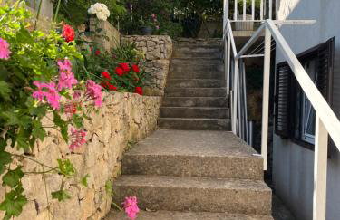 Apartments Despotović - Photo 21