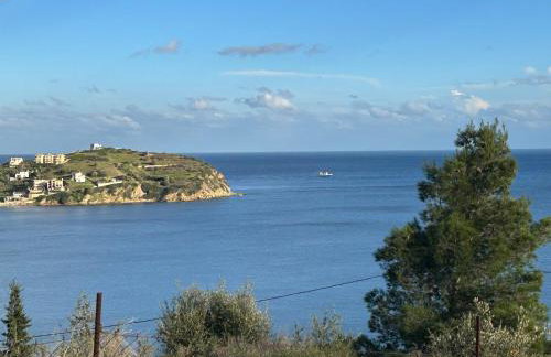 Archontiko Dagmar 1st floor "2" - Foto 44