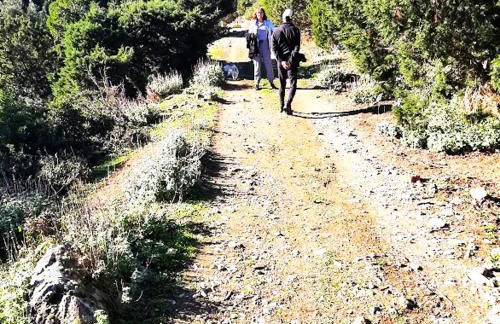 Little Bit Of Heaven - Photo 20