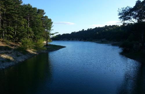 La Pinède du Barroux - Foto 34