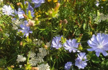 radlerunterkunft Grabau Nr.1 - Foto 27