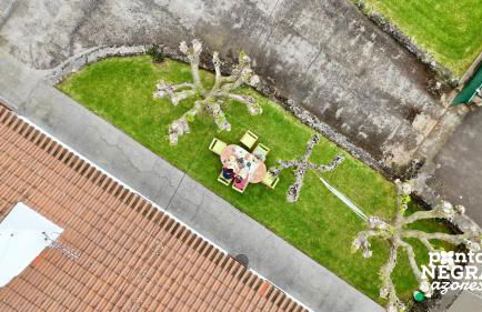 Casa das Vaquinhas by Ponta Negra Azores - Photo 17