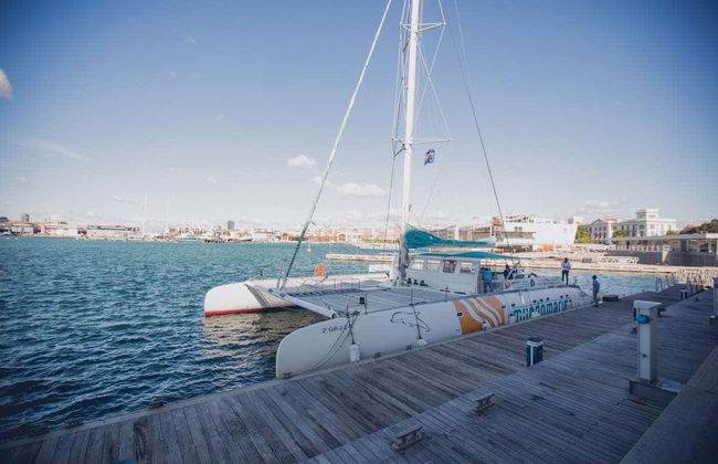 Catamaran Lunch Cruise - Photo 2