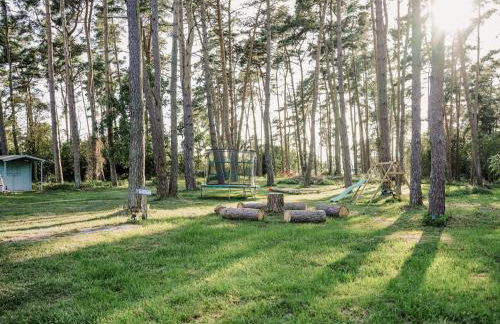 Ferienhäuser Insel Usedom Waldhaus 2 mit Whirlpool - Direkt am Achterwasser - Foto 25