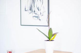 Green View Guest House - Photo 18