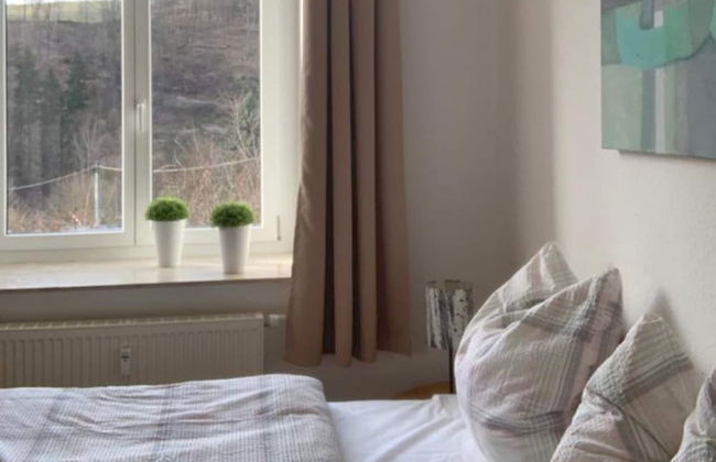 Apartment in Ore Mountains Near Hiking Trails - Foto 17