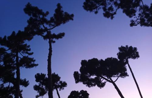 A Luna Rossa - Photo 44