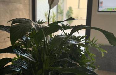 Tiburtina FLAM guest house - Foto 41