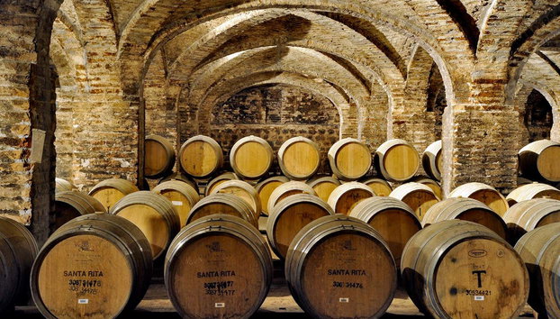 Visita a las bodegas de Santa Rita - Foto 2, Barriles de la bodega Santa Rita