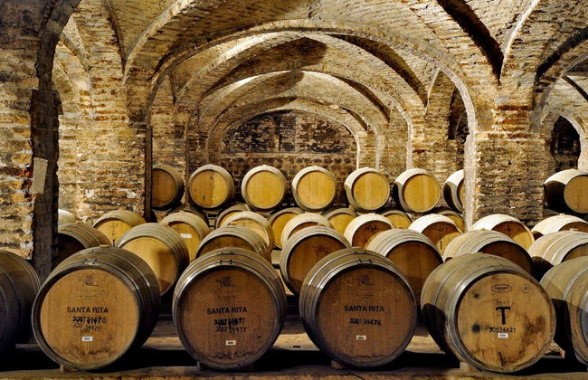 Visita a las bodegas de Santa Rita - Foto 2