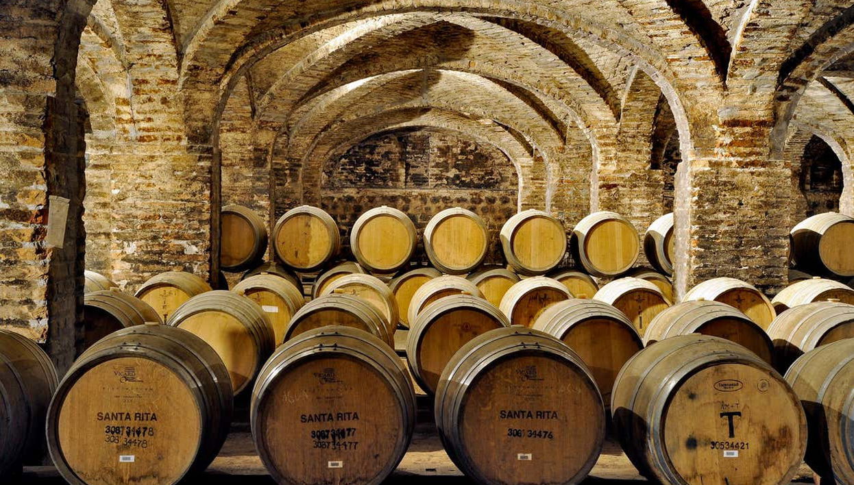 Stroll among the wine barrels