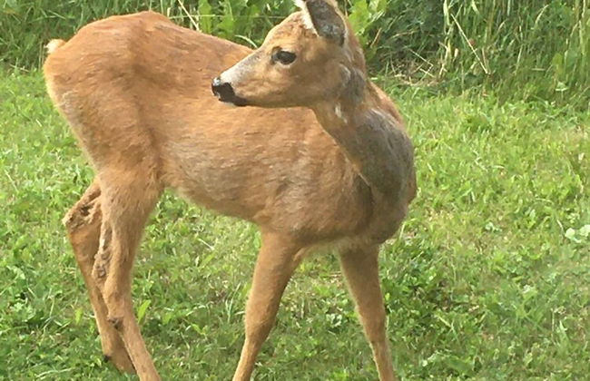 Cozy House On Norderon For Up To 8 People - Photo 15