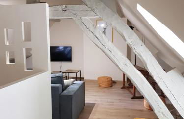 Maison Familiale proche Zoo de Beauval à Selles sur Cher GITE A l'Ombre du Saule - Foto 14