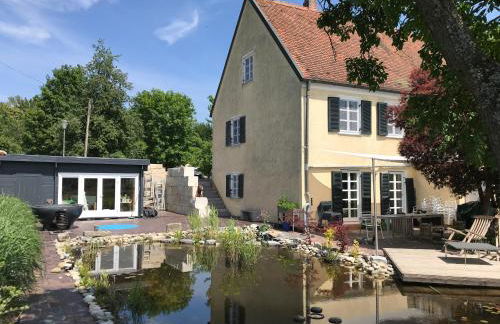 Pure Nature Munich - Amper Meadows/Freising - Foto 12