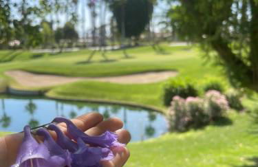 Palm Valley Full Access to Golf, Tennis, and Pickle Ball- Luxury 3 King Beds 3 Full Baths - Foto 49