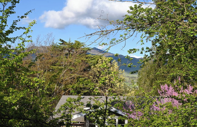 A Cowslip's Belle Inn - Foto 46