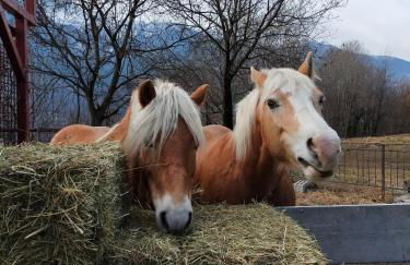 casa vacanza da ghislin - Foto 49