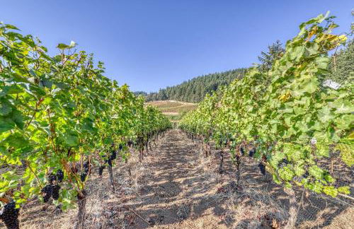 King's Queen - Foto 32