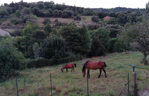 Le Mazet de la Régordane - Foto 9
