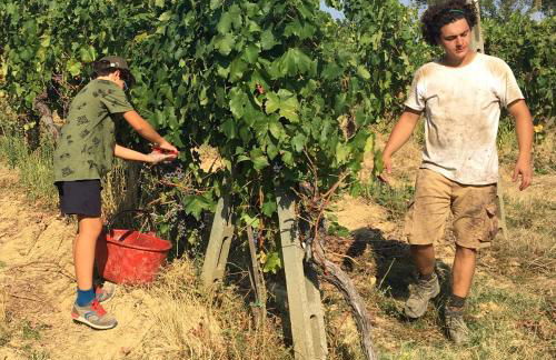 Agriturismo Rigone in Chianti - Foto 20