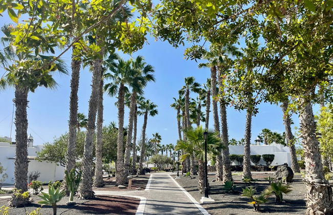 Palmeras Garden - Foto 6