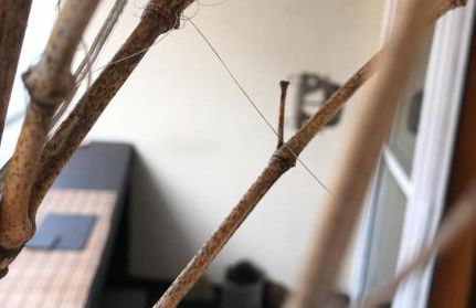 Stylish Penthouse Apartment - Foto 48