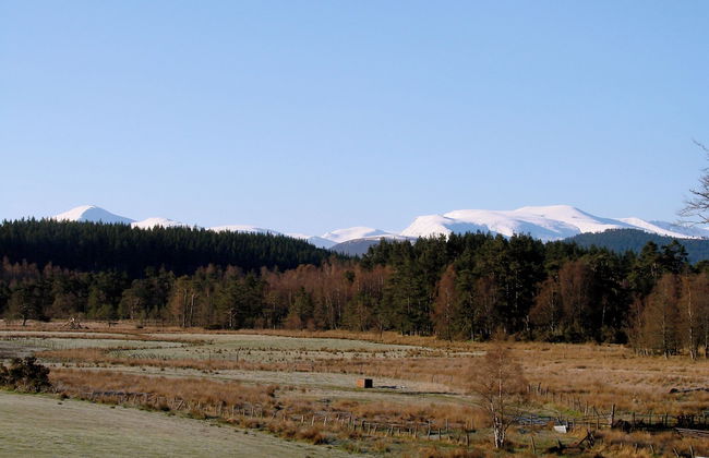 The Dell of Abernethy - Photo 78