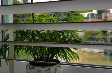 Pokoje przy Zamku - Foto 60