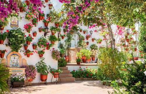 Apartamento Patios de San Lorenzo - Foto 30