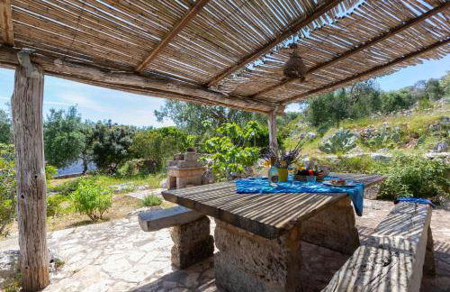 Pajara Rugiada - Foto 36