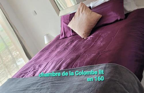 NiDAmour La Colombe Gîte romantique avec spa privatif intérieur Castels-et-Bézenac - Foto 10