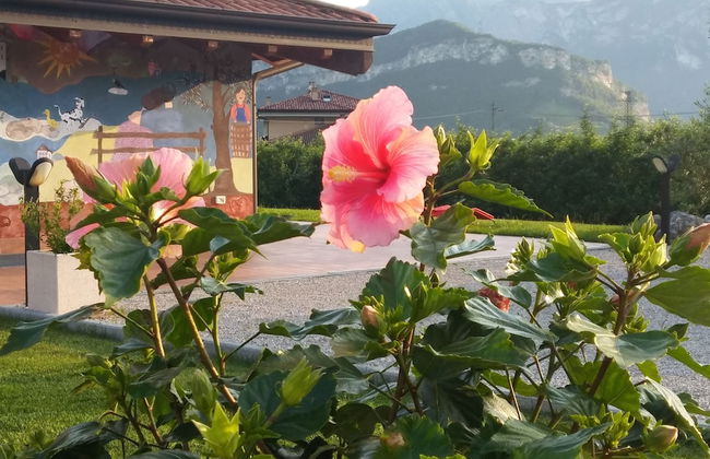 Agriturismo Trefrutti - Foto 43