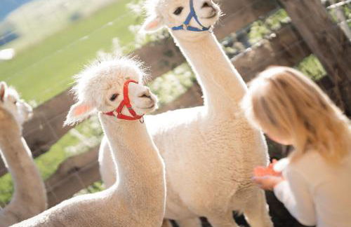 Aparthotel Familiaris - Family Apartments - Pools & Spa in Dolomites - Foto 62