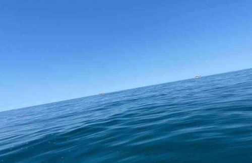 Cottage in the Countryside Near New Quay West Wales - Photo 34