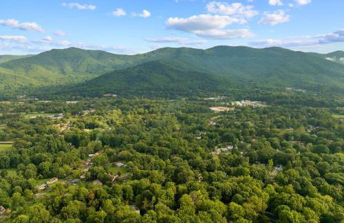Luxury Cabin near Asheville and Black Mountain - Foto 63