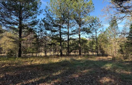 Waterfalls Canyon 41.5 Acres W Miles of Trails - Foto 10