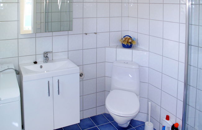 Fagerdalsnipi - Foto 7