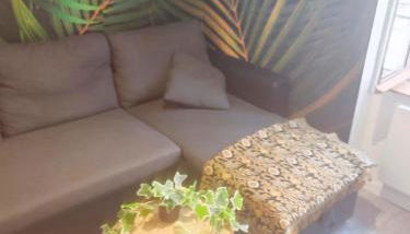 Bulle tropicale jungle - Foto 5