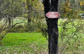 Country Cottage with beautiful views - Foto 7