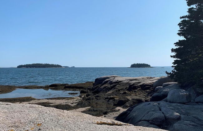 Geary House at Fifield Point - Photo 13