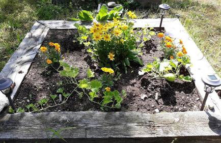 Deer Valley Retreat, Lovely Log Cabin with Fireplace & Garden Views- Perfect for a Relaxing Getaway! - Foto 25