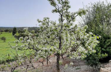 Monte da Casa Branca by Hi Alentejo - Foto 50