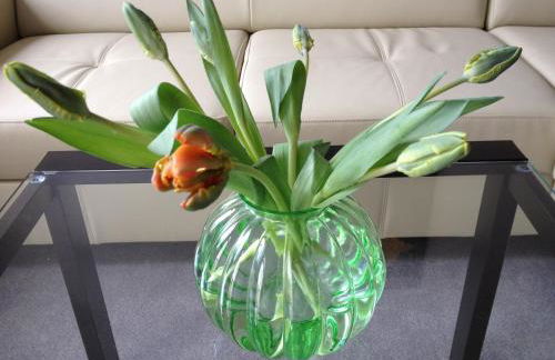 Apartmenthaus Villa Lindenbühl - Foto 21