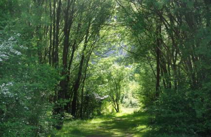 Retiro do Bosque Country House - Foto 37